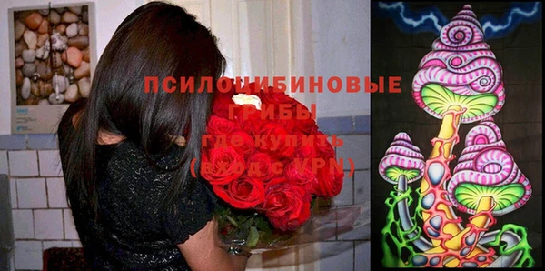 дурь Кулебаки