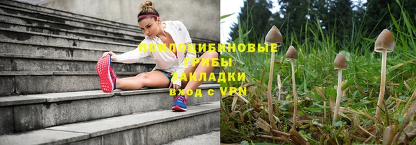 дурь Кулебаки